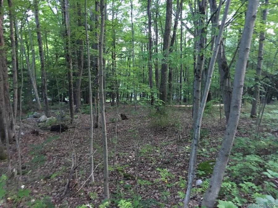 393 Winchester Road Photo 5