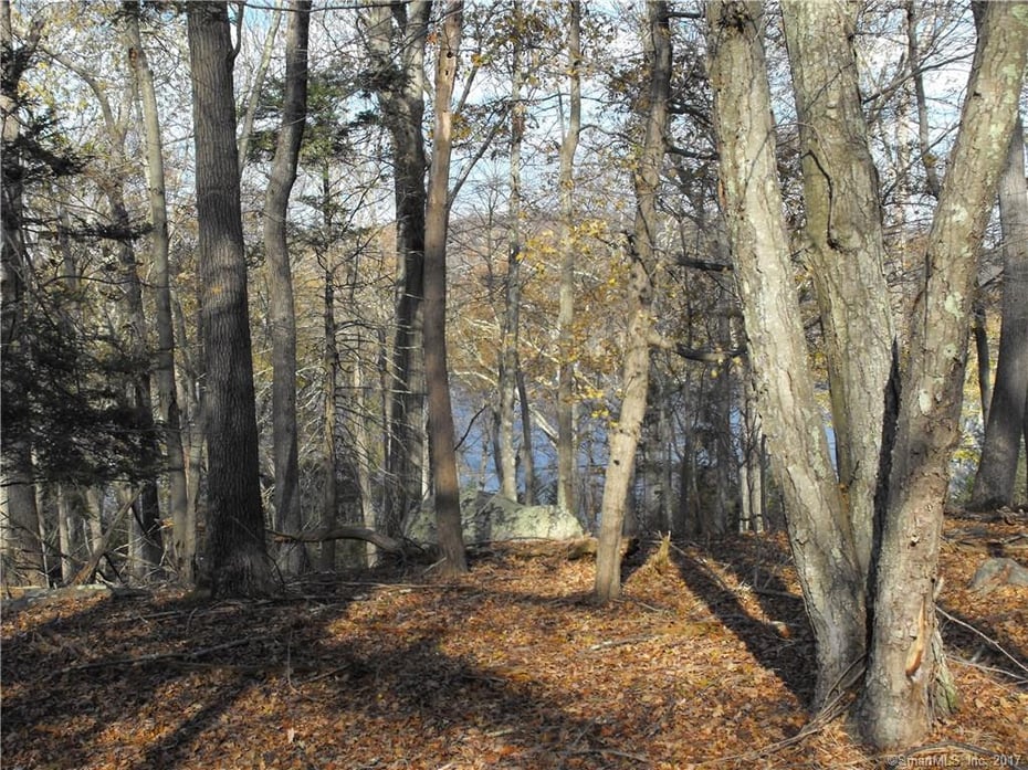7b River Road Photo 1