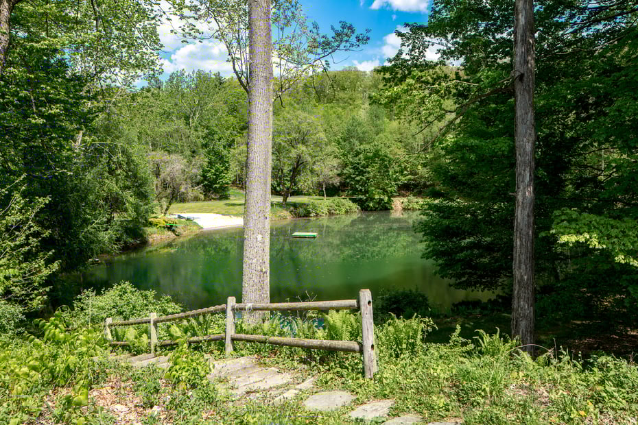 520 White Oaks Rd Photo 19