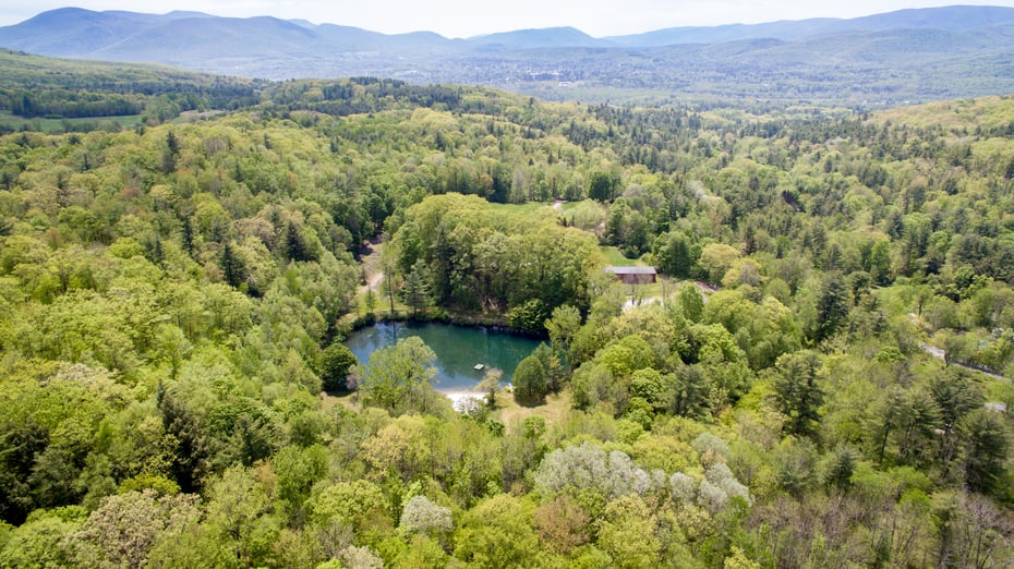 520 White Oaks Rd Photo 22