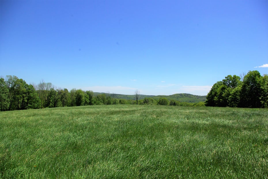 132 Spencer Hill Road Photo 1