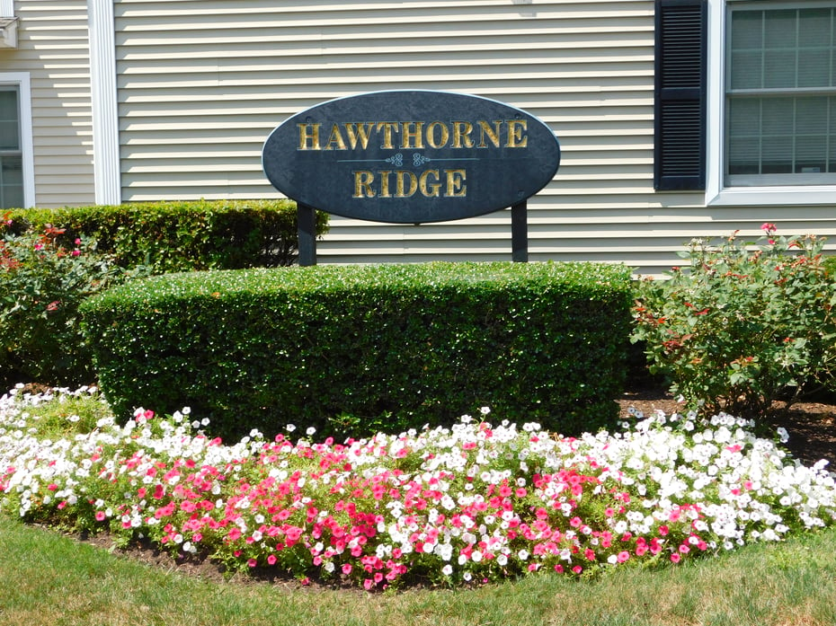 33 Hawthorne Ridge Circle Photo 29