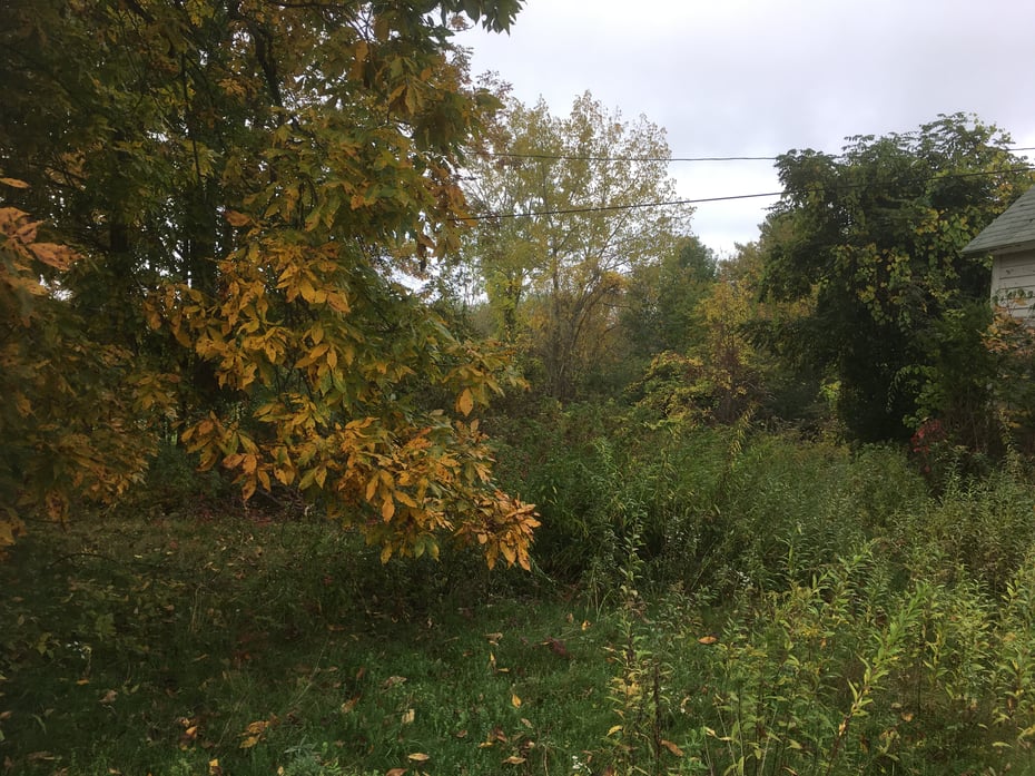 269 Blue Hill Rd Photo 2