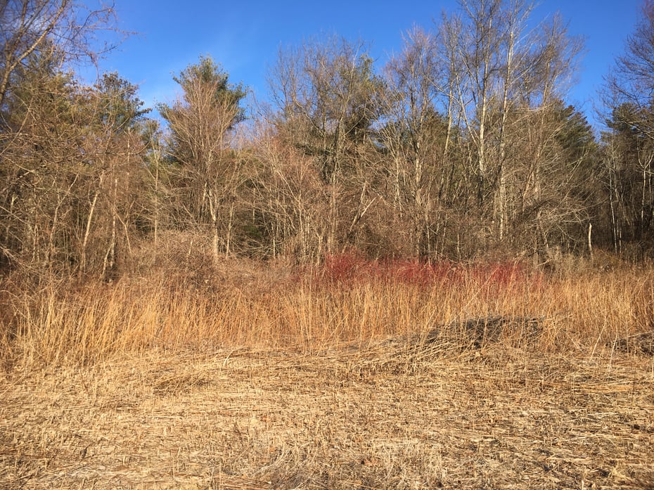 269 Blue Hill Rd Photo 8