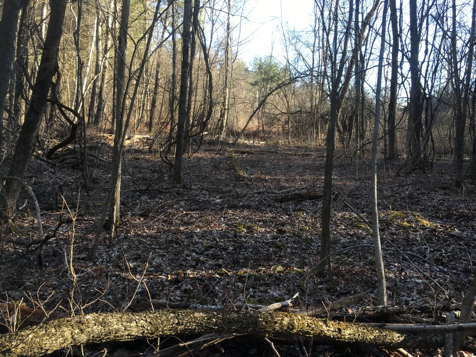 269 Blue Hill Rd Photo 9