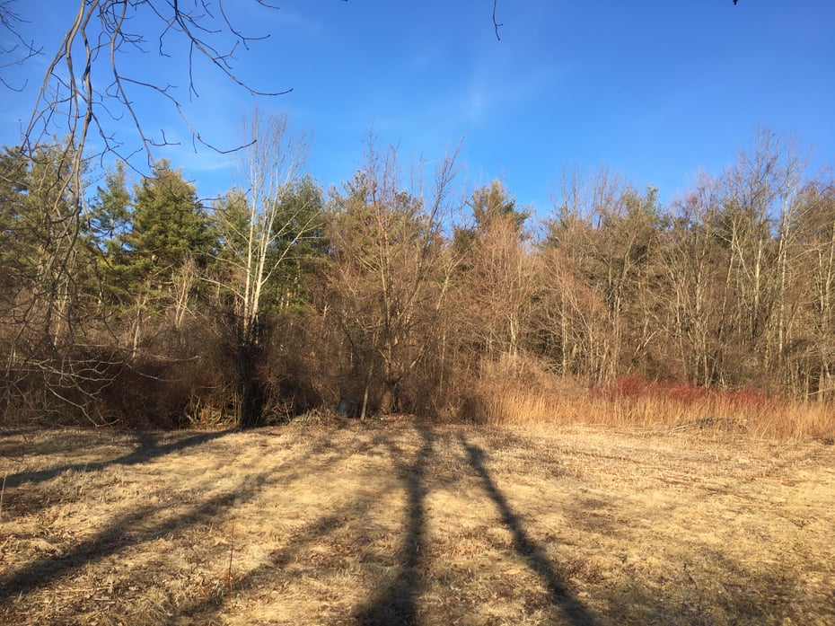 269 Blue Hill Rd Photo 10