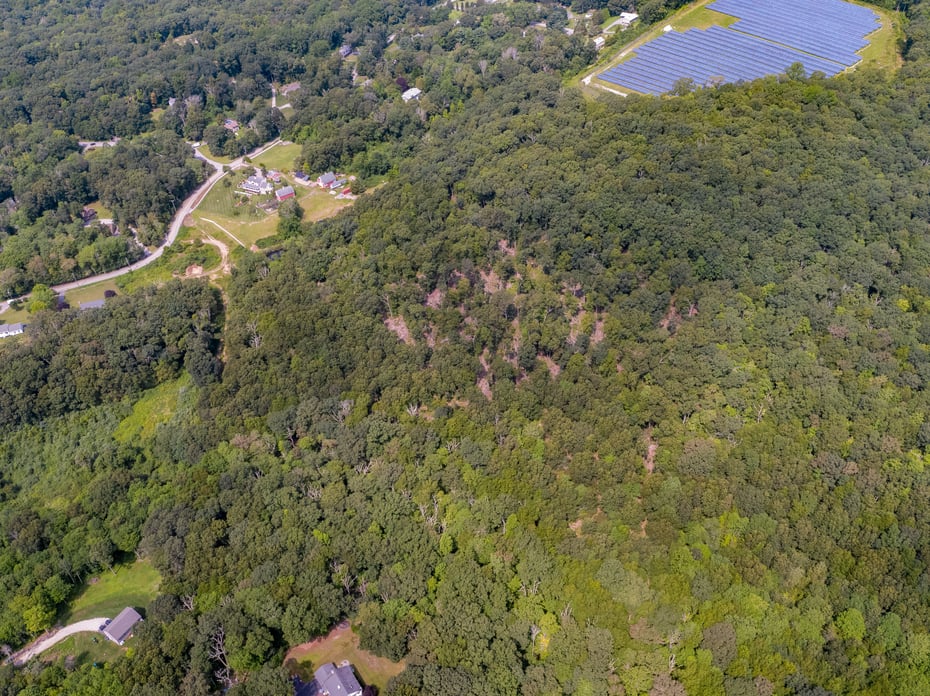 57 Walnut Hill Road Photo 5