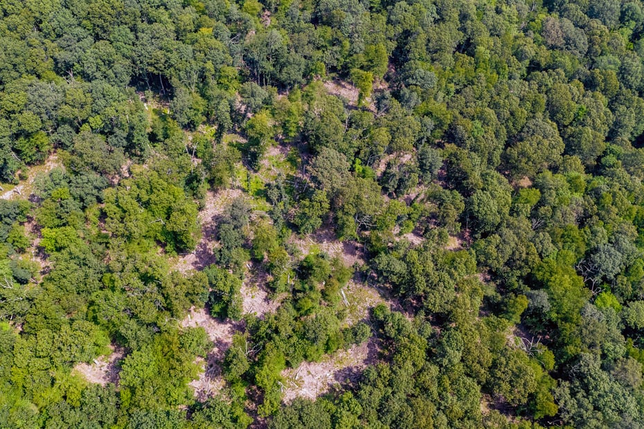 57 Walnut Hill Road Photo 11