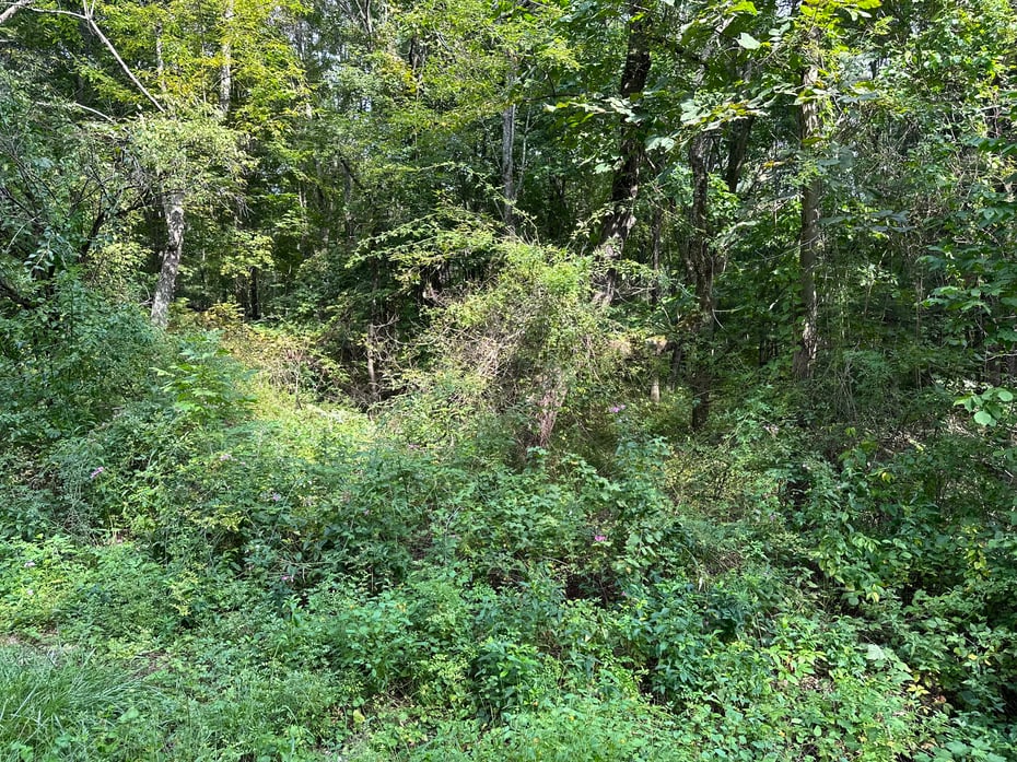 00 Sackett Hill Road Photo 1