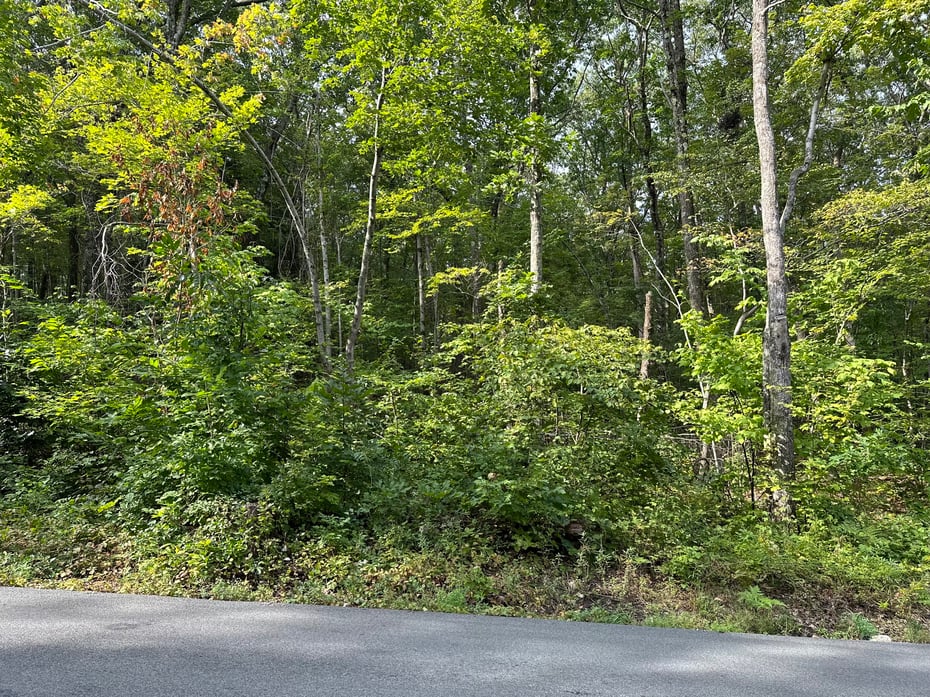 00 Sackett Hill Road Photo 2