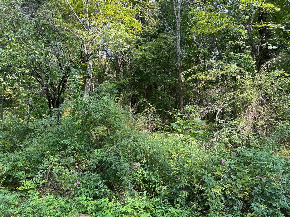 00 Sackett Hill Road Photo 4