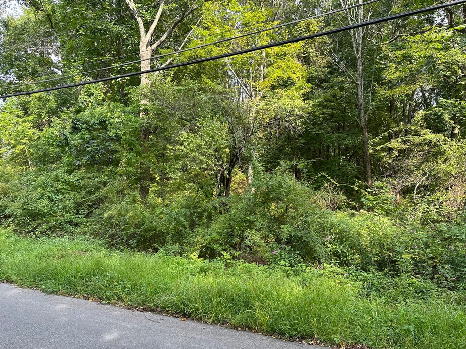 00 Sackett Hill Road Photo 5