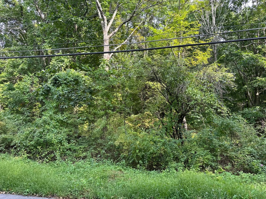 00 Sackett Hill Road Photo 6