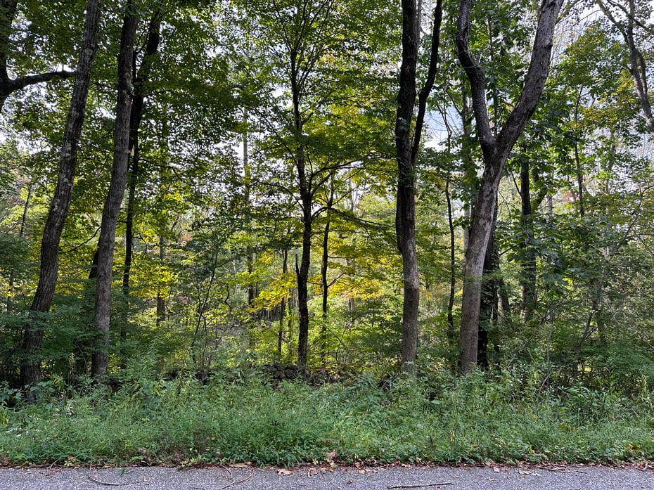 0 Lake Road Photo 2