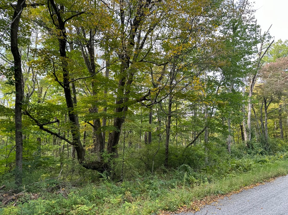 0 Lake Road Photo 5