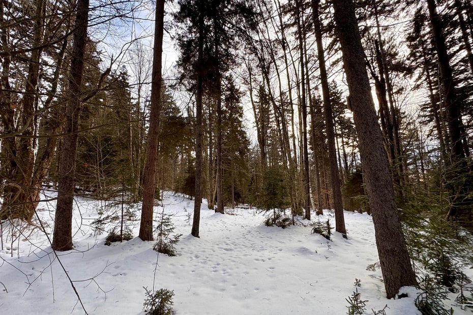 0 Spruce Dr Photo 3