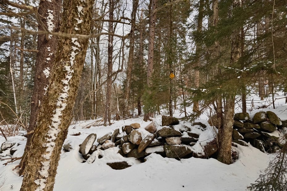 0 Spruce Dr Photo 6