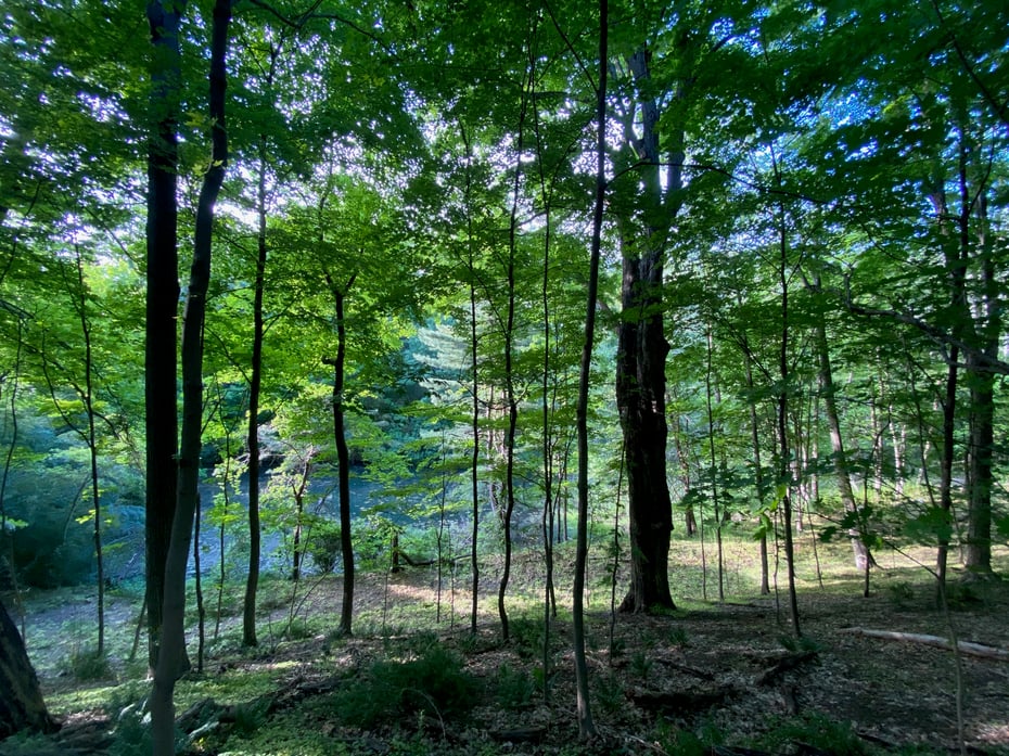 825 Route 9d Photo 7