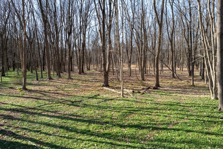 825 Route 9d Photo 8