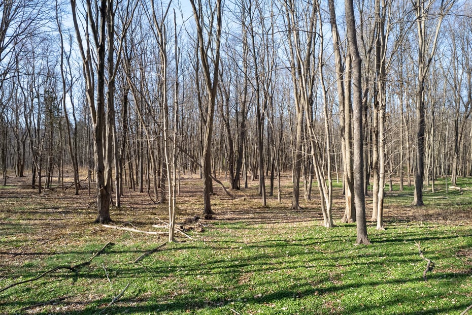 825 Route 9d Photo 13