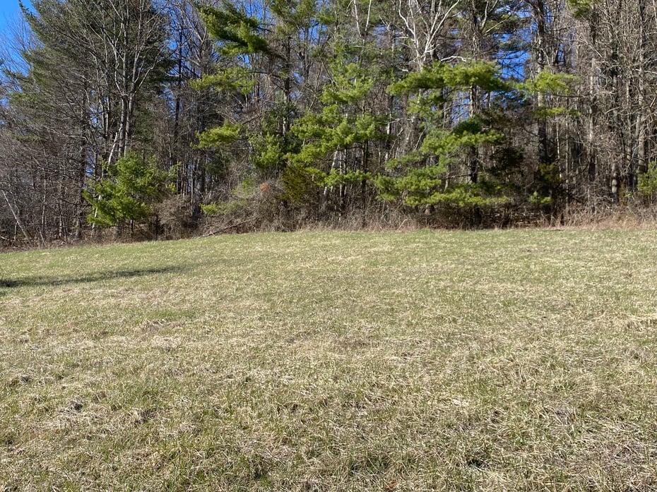 198-3 Beebe Hill Road Photo 5