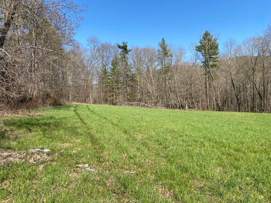 198-2 Beebe Hill Road Photo 6