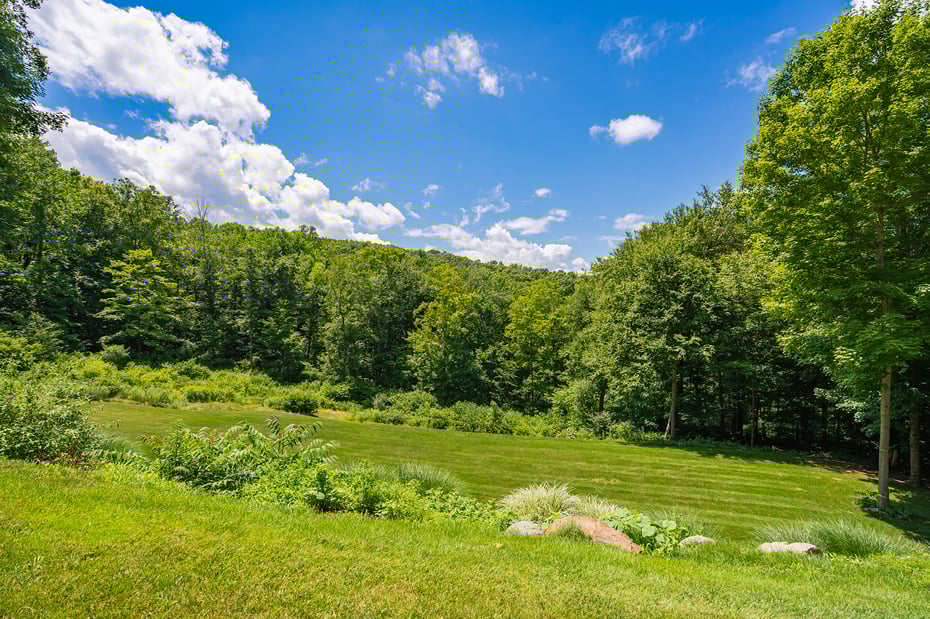 260 White Deer Rocks Road Photo 47