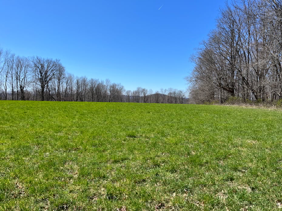 0 Chestnut Land Road Photo 10