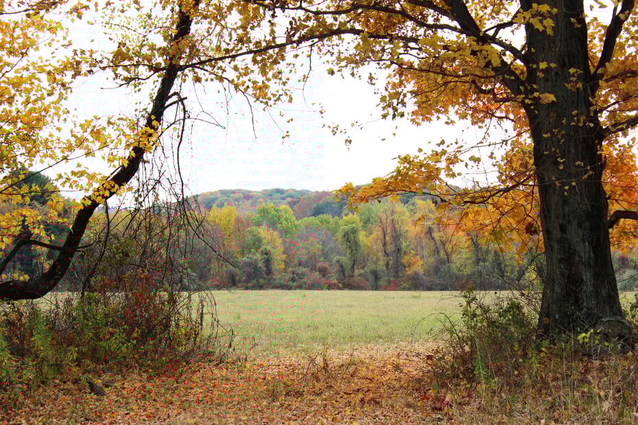 0 Chestnut Land Road Photo 13