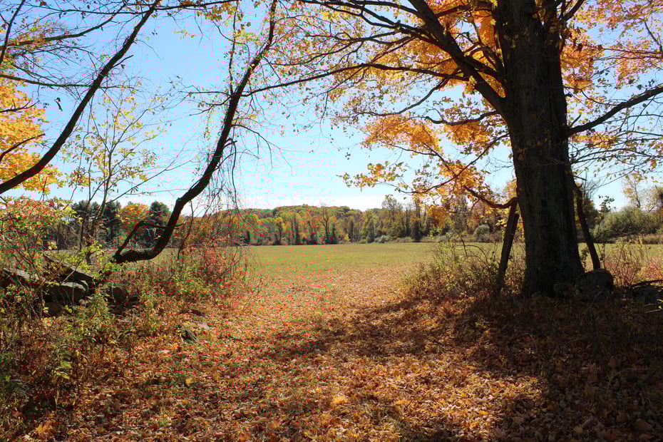 0 Chestnut Land Road Photo 12