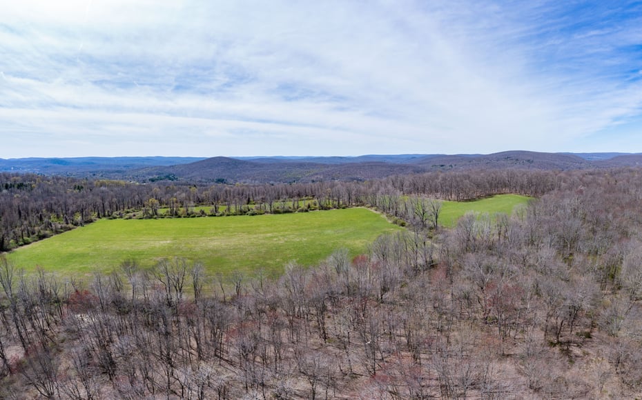 0 Chestnut Land Road Photo 30