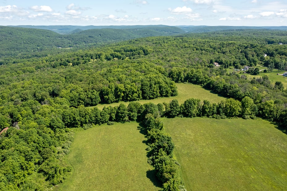 0 Chestnut Land Road Photo 4