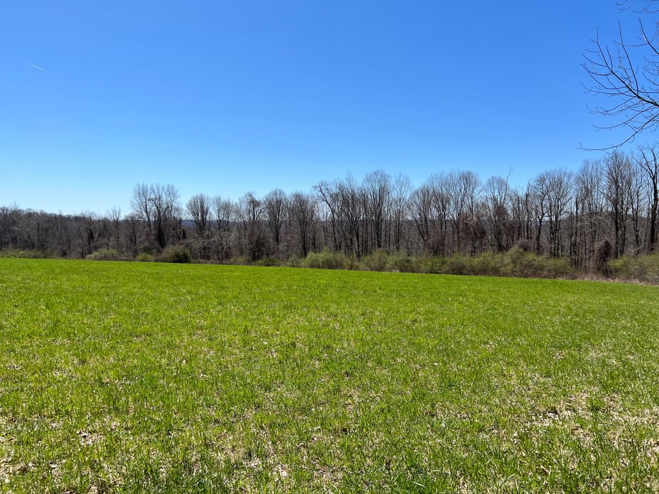0 Chestnut Land Road Photo 8