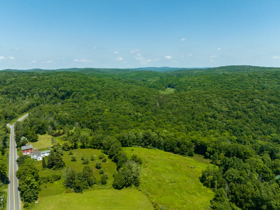 163 Lake Road Photo 3