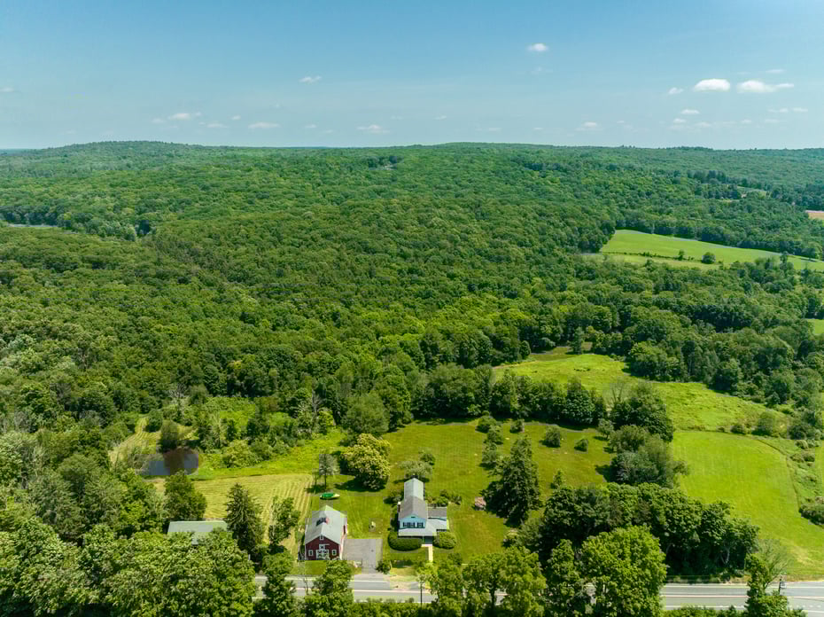 163 Lake Road Photo 4