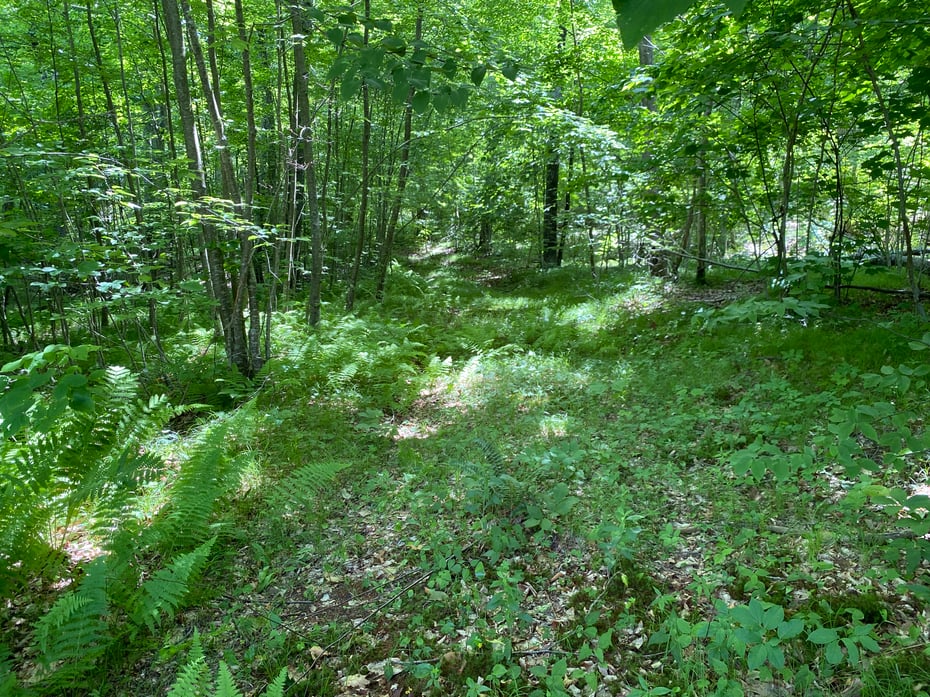 Lot 5&6 0 Silver Hill Road Photo 10