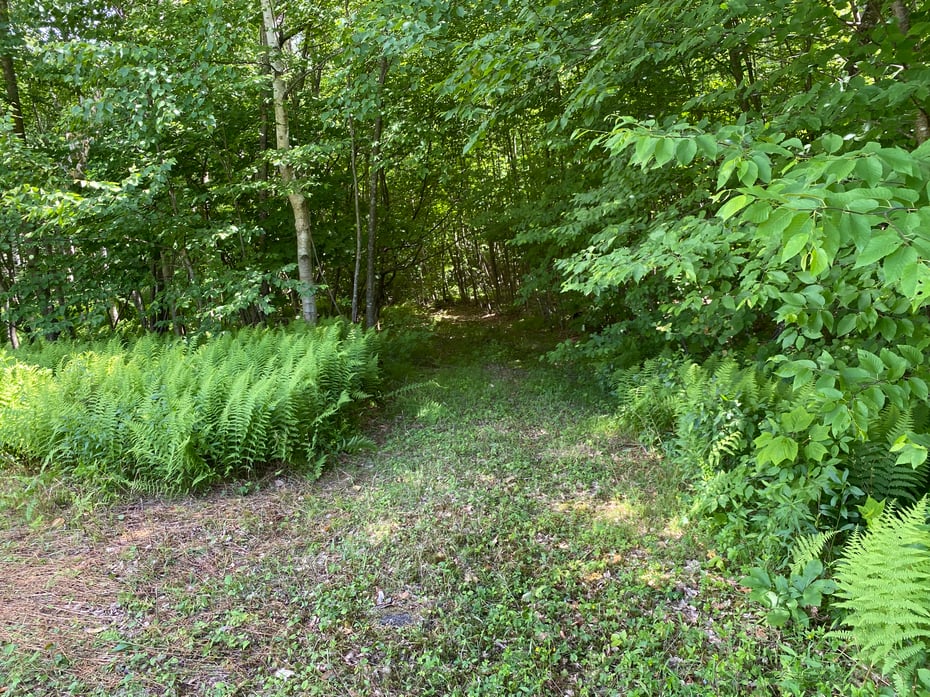 Lot 5&6 0 Silver Hill Road Photo 11