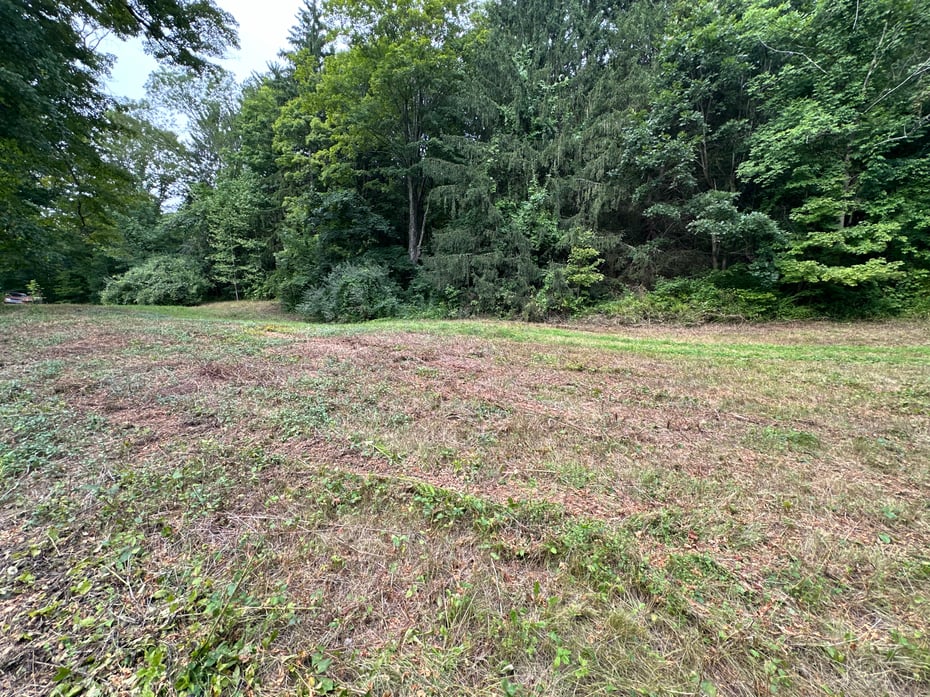 410 Nettleton Hollow Road Photo 7