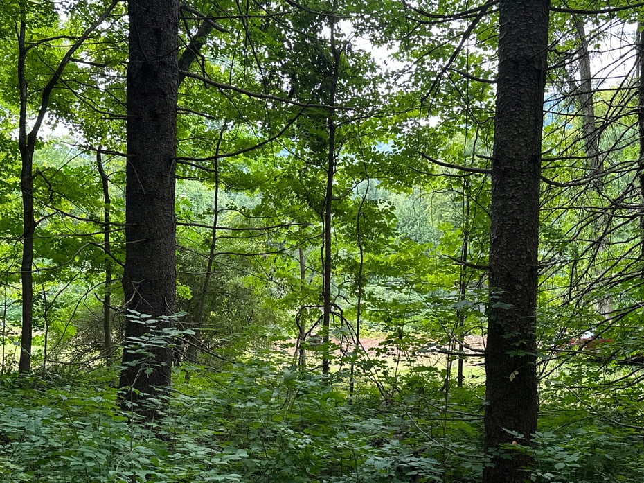 410 Nettleton Hollow Road Photo 2