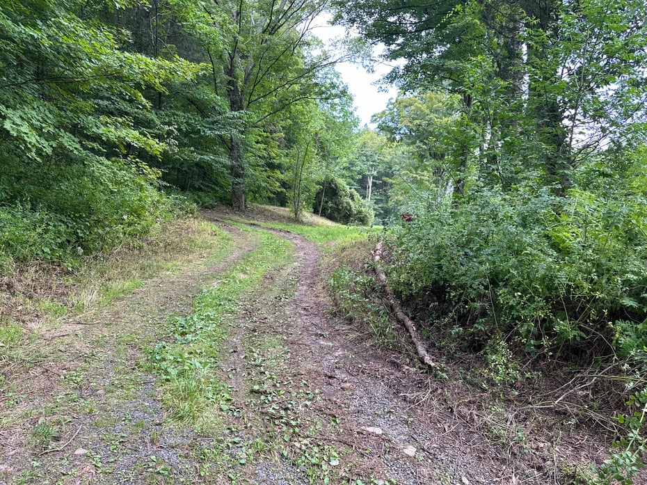410 Nettleton Hollow Road Photo 9