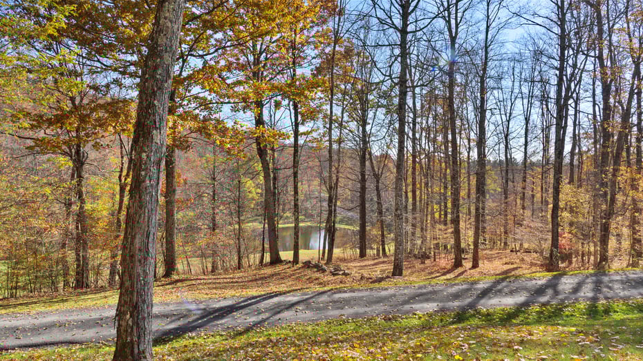 129 Harrington Drive Photo 41