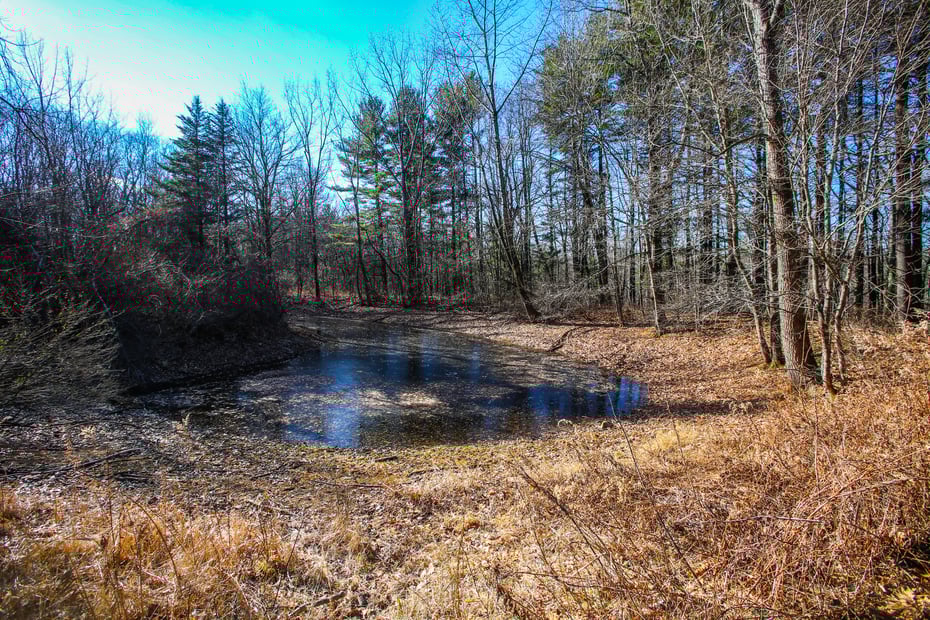 145 Angevine Road Photo 10