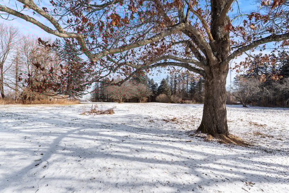 80 Westside Road Photo 25