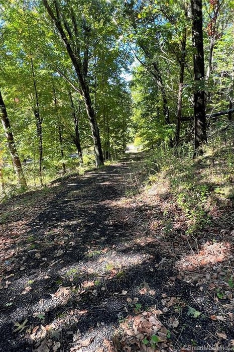 5 Lillinonah Lake Road South Photo 3