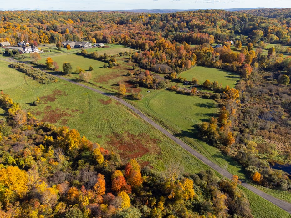 Lot 7 & Lot 8 Willow Brook Drive Photo 3