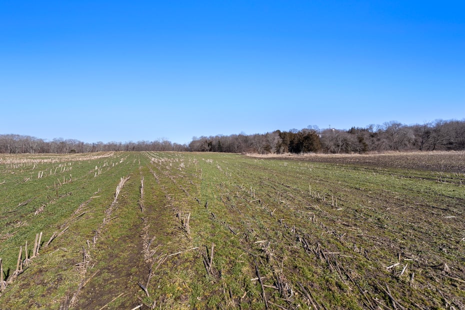 170 Bishop Crossing Road Photo 17
