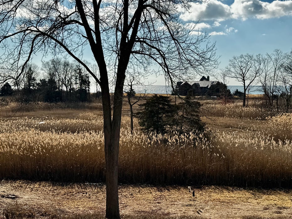 50 Whedon Lane Photo 35