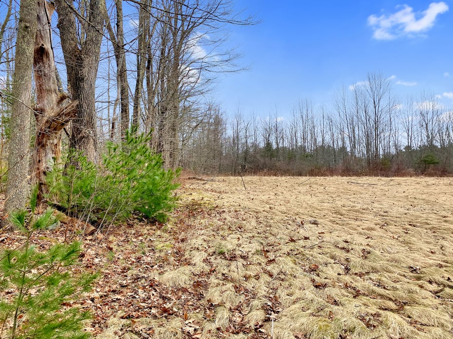 00 Colebrook Road Photo 2