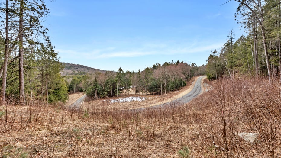 13191 Route 22 Lot 5 Photo 2