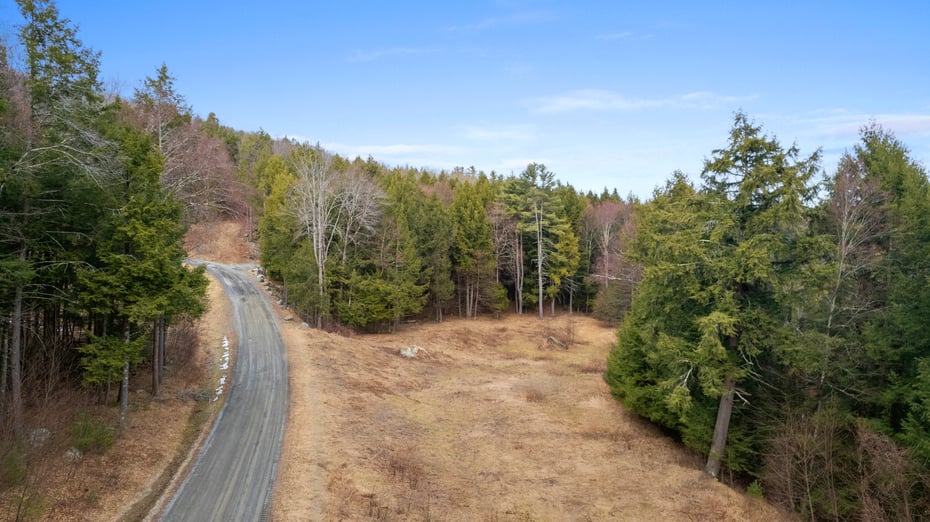 13191 Route 22 Lot 5 Photo 4